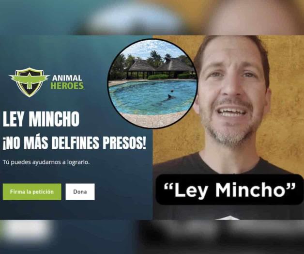 ¿Qué es la Ley Mincho? iniciativa busca liberar a los delfines ¿Qué es la Ley Mincho? iniciativa busca liberar a los delfines