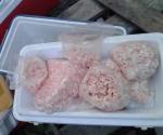 Vigilan venta de mariscos