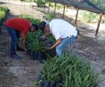 Impulsan programa Río Bravo + Verde,  + Vivo, + Tuyo