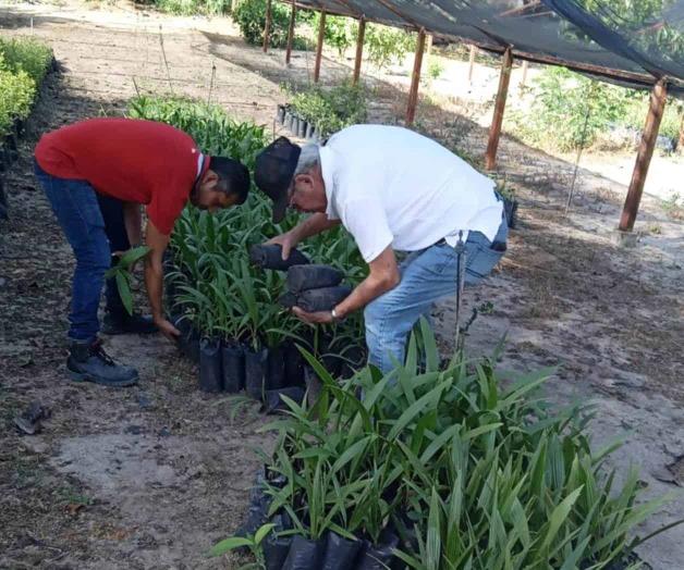 Impulsan programa Río Bravo + Verde, + Vivo, + Tuyo Impulsan programa Río Bravo + Verde, + Vivo, + Tuyo