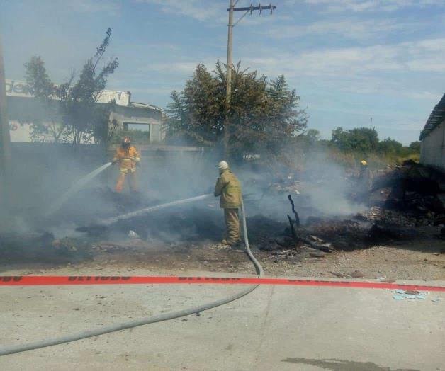 Incendios son provocados en zona sur Incendios son provocados en zona sur