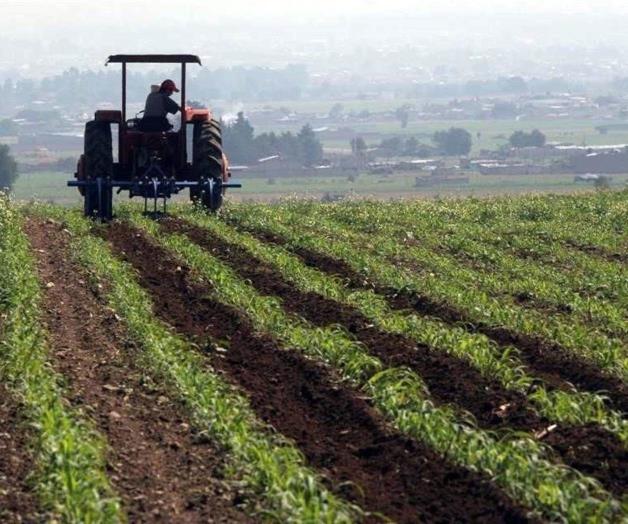 Dependencia de mexicanos en la agricultura de Estados Unidos Dependencia de mexicanos en la agricultura de Estados Unidos