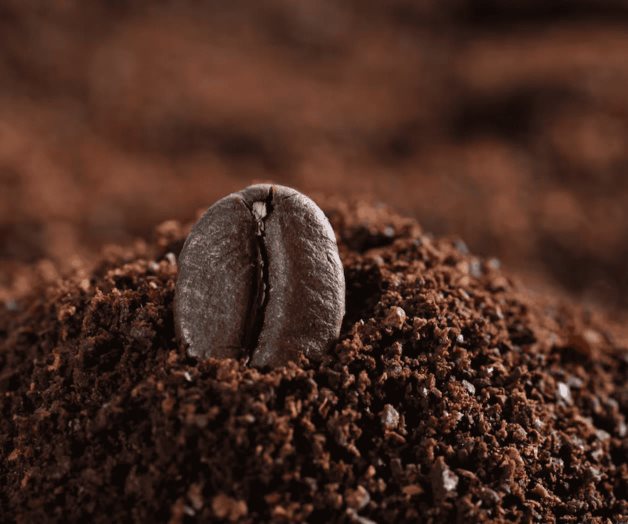 Cuáles son los mejores cafés molidos, según la Profeco Cuáles son los mejores cafés molidos, según la Profeco