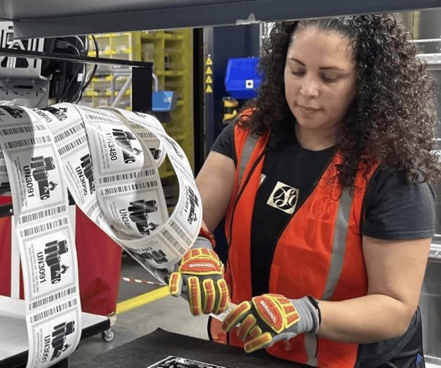 Proyectan creación de hasta 150 mil empleos en 2025 Proyectan creación de hasta 150 mil empleos en 2025
