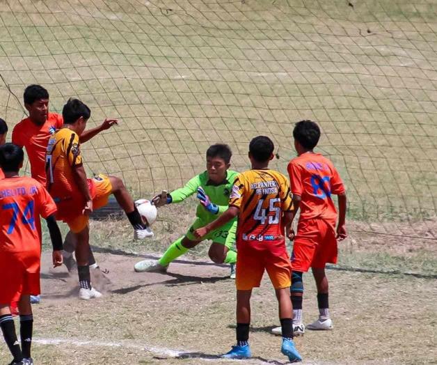 Panteras, más vivos que nunca