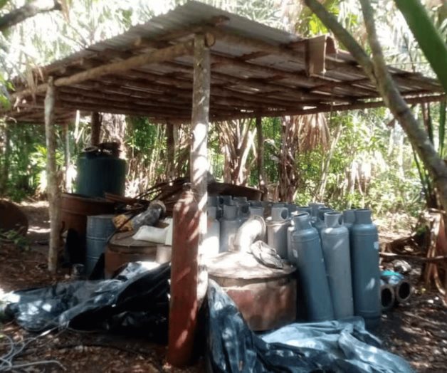 Desmantelan narcolaboratorio en Petcacab, Quintana Roo
