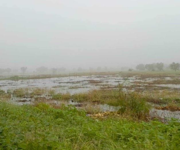 Pronostica SMN fuertes lluvias