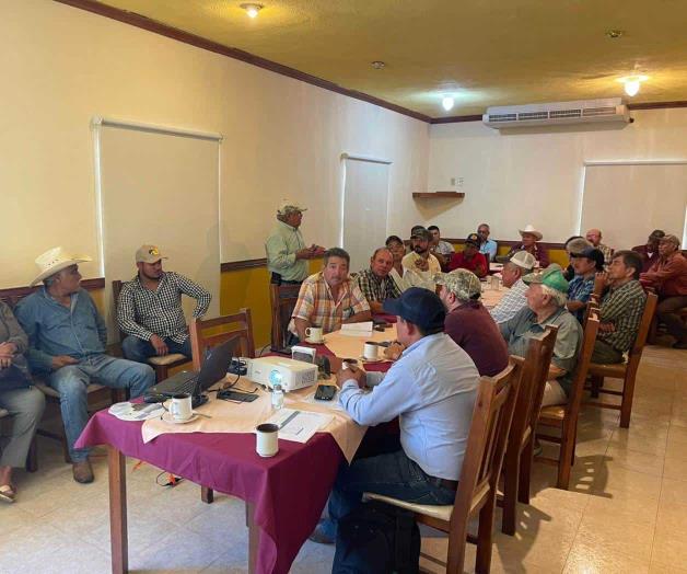 Fomentan  la siembra de ajonjol&iacute;