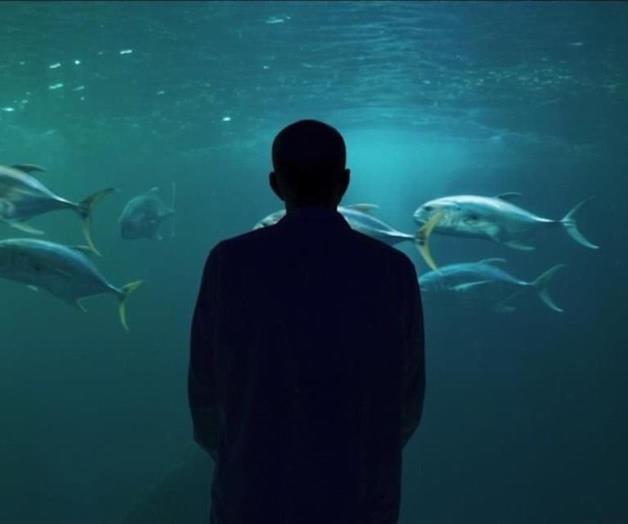 Documental Molusco: Una inmersión en el universo creativo de Jis Documental Molusco: Una inmersión en el universo creativo de Jis