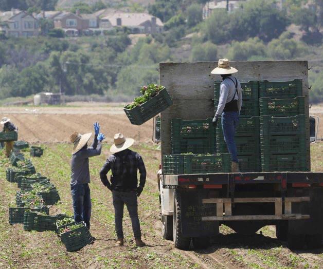Redadas migratorias amenazan negocios que abastecen alimentos
