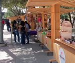 emprendedoras se instalaron alrededor de la plaza principal para ofertar sus producto #shorts #viral