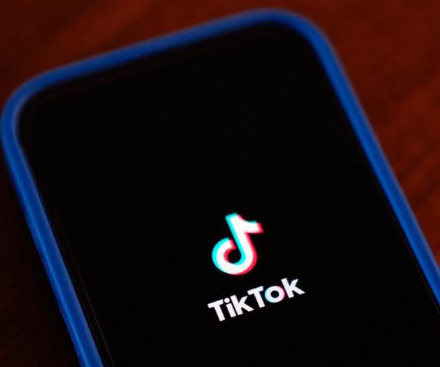 Holanda recomienda prohibir uso de TikTok e Instagram a menores de 15 a&ntilde;os