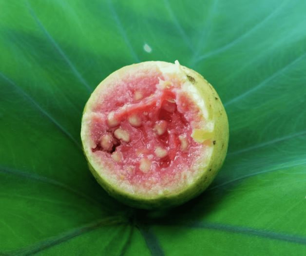 ¿Qué tan saludable es comer guayabas? ¿Qué tan saludable es comer guayabas?