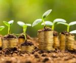 Luchan contra greenwashing