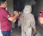 Atacan abejas