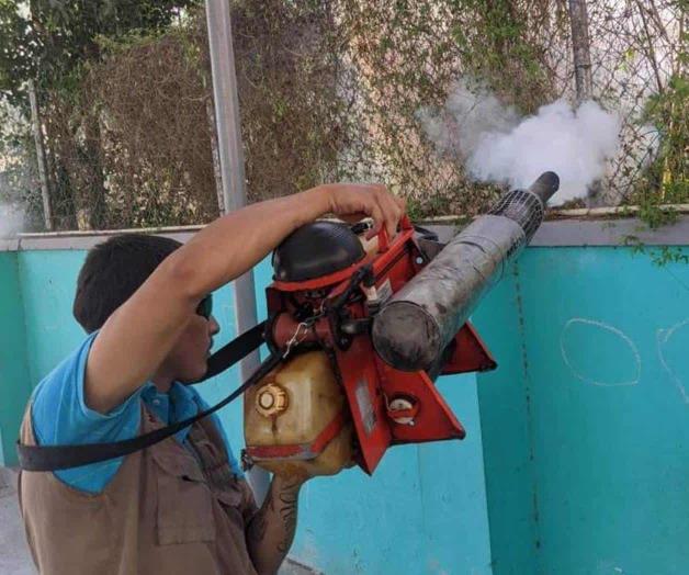Refuerzan fumigación