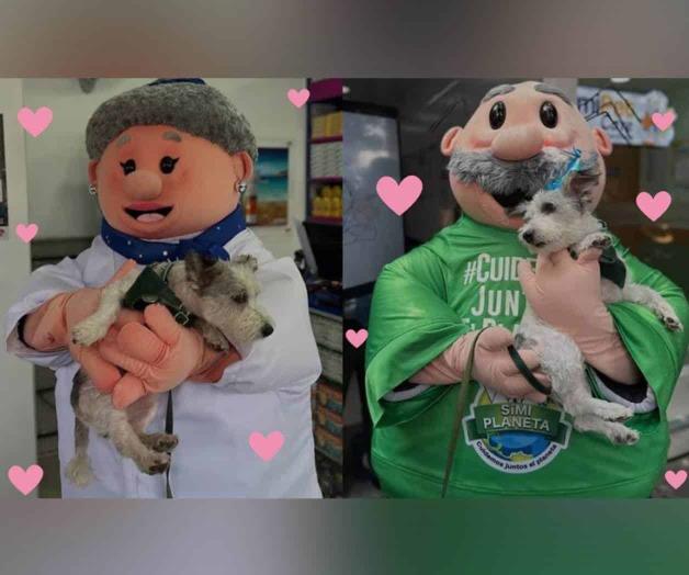 ¿Quién es la Dra. Lares?; la esposa del Doctor Simi