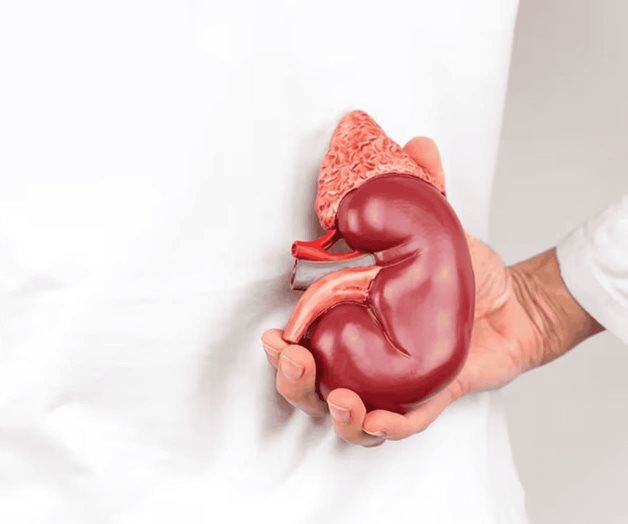 Este jueves se celebra el D&iacute;a Mundial del C&aacute;ncer de Ri&ntilde;&oacute;n