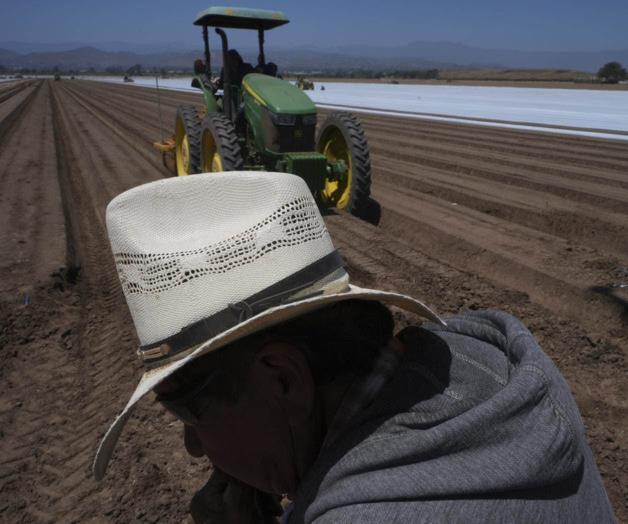 Trabajadores y empresas enfrentan incertidumbre por redadas del ICE Trabajadores y empresas enfrentan incertidumbre por redadas del ICE