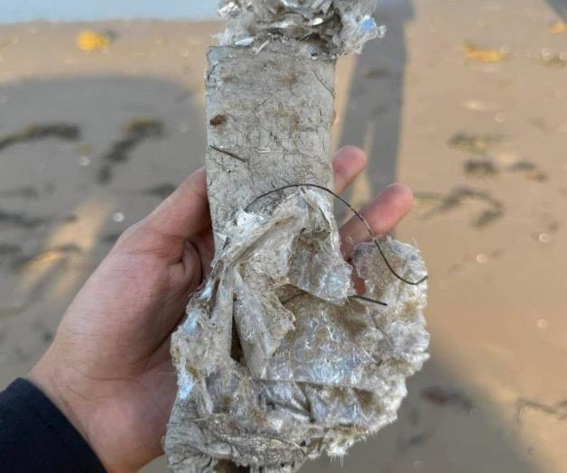 Llega a Sheinbaum queja contra Space X