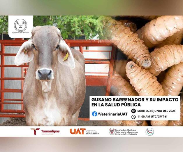 Dará UAT conferencias sobre gusano barrenador
