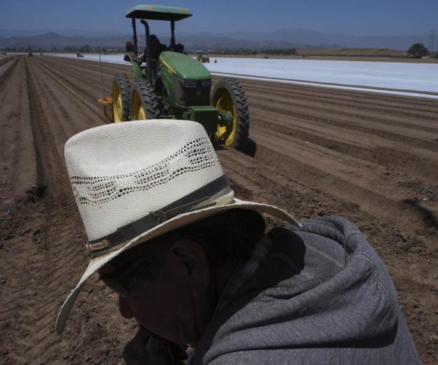 &acute;Agentes apuntaban con sus fusiles a las vacas&acute;