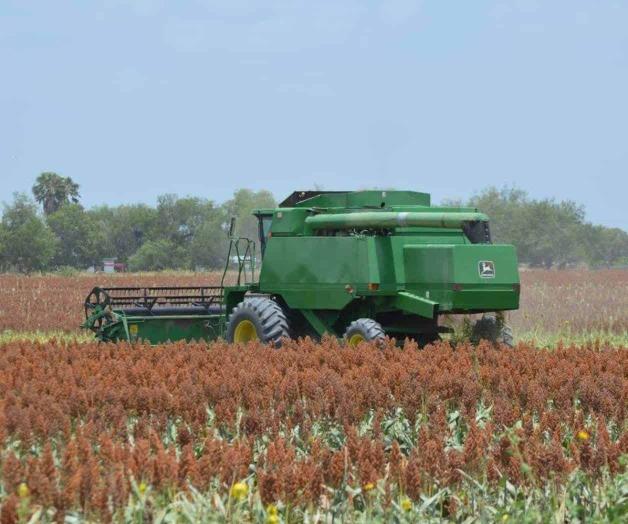 Amagan productores con bloqueos en Tamaulipas