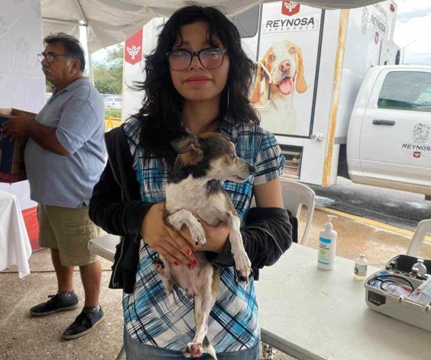 Adoptan a 15 mascotas que sufrieron maltrato