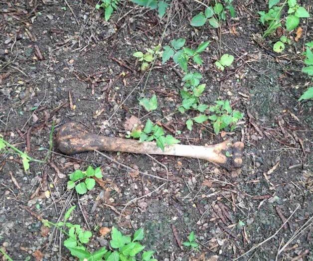 Encuentran más restos humanos Encuentran más restos humanos