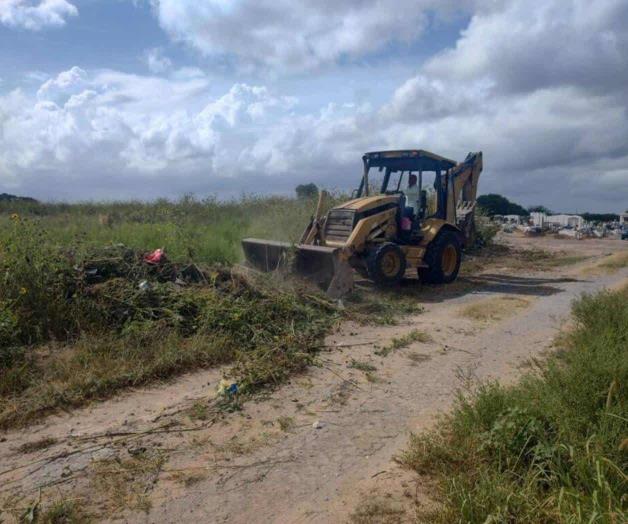 Ampl&iacute;an pante&oacute;n de brecha 109