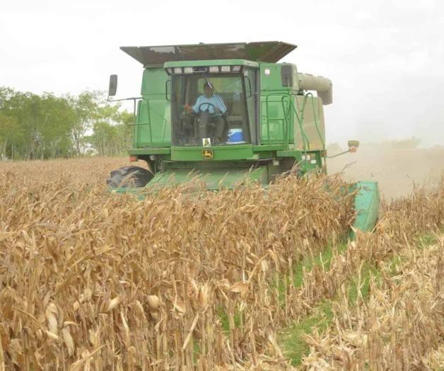 Programan otra junta productores agr&iacute;colas