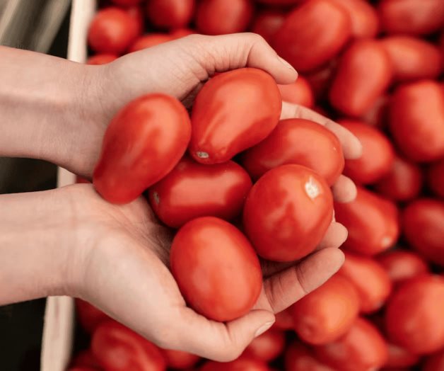 EU abre investigaci&oacute;n contra jitomate mexicano