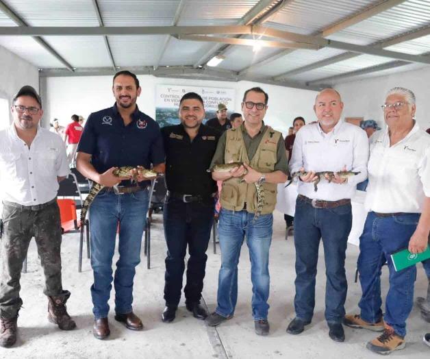 Colabora la UAT en la conservación y control del cocodrilo morelet Colabora la UAT en la conservación y control del cocodrilo morelet