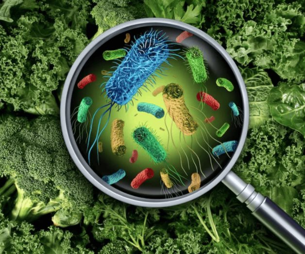 Qué alimentos no se pueden comer después de una intoxicación Qué alimentos no se pueden comer después de una intoxicación