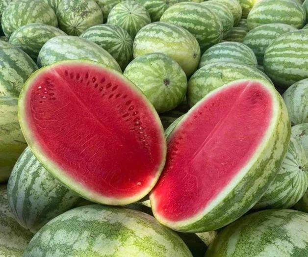 Ofrecen sandías para ´calorones´ Ofrecen sandías para ´calorones´