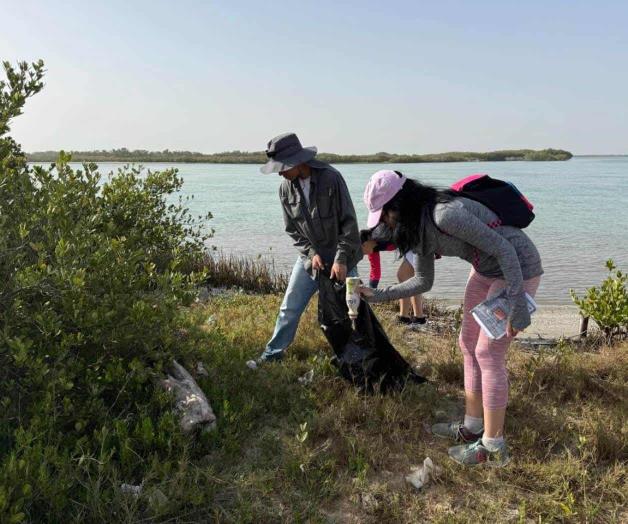 Colabora la UAT en la conservación del mangle tamaulipeco Colabora la UAT en la conservación del mangle tamaulipeco