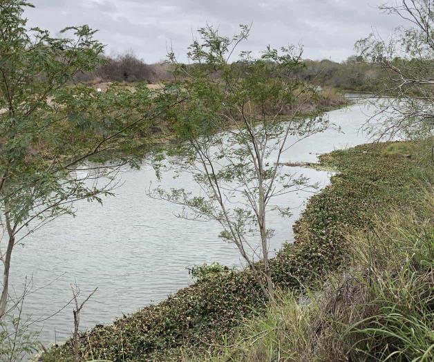 Lluvias insuficientes