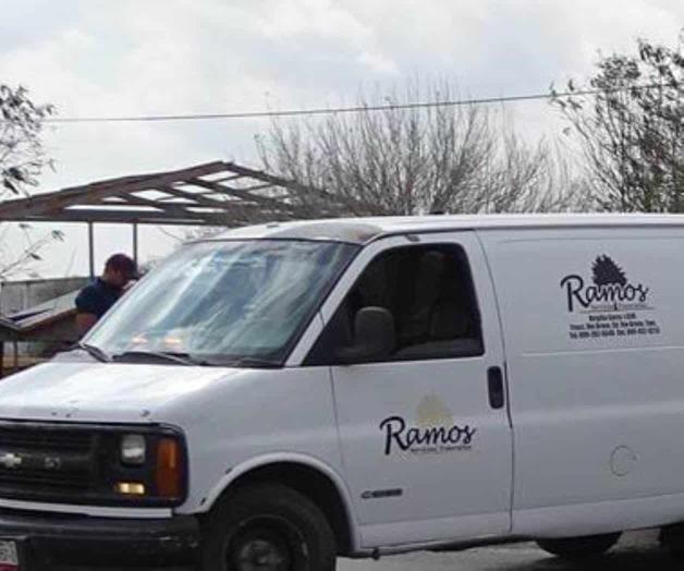 Matan abejas a un jornalero