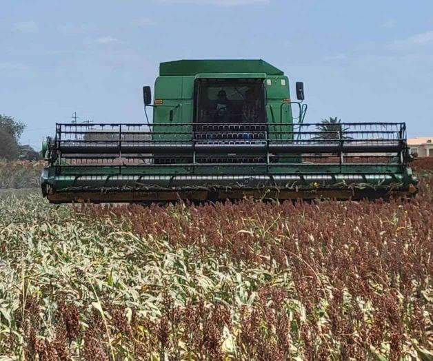 Amenazan productores con bloqueos carreteros Amenazan productores con bloqueos carreteros