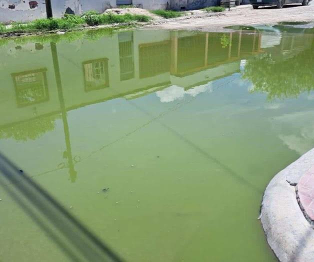 Fugas de aguas negras ´golpean´ a las colonias Fugas de aguas negras ´golpean´ a las colonias