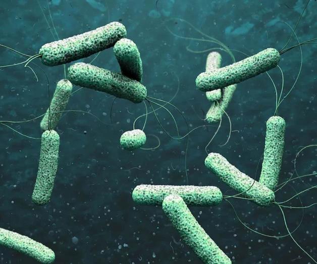 Descarta Coepris caso de c&oacute;lera en Tamaulipas