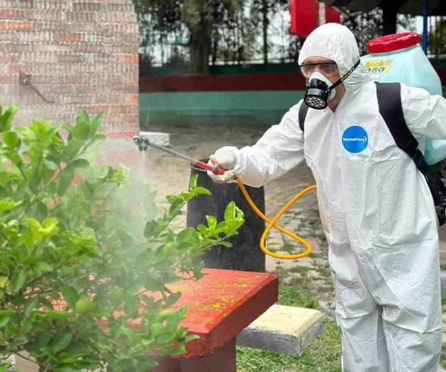 Combaten plagas de c&iacute;tricos en colonias