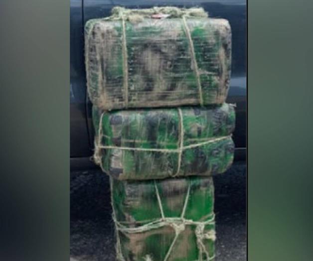 Incauta el DPS más de 100 libras de marihuana Incauta el DPS más de 100 libras de marihuana