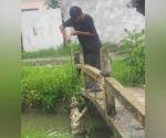 Con lazo en mano, niño de 14 años captura cocodrilo en Madero