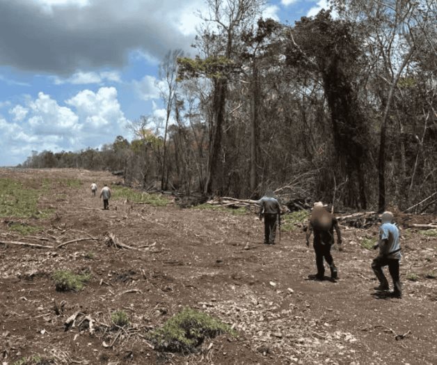 Profepa clausura 2 mil 600 hectáreas de selva en tres estados Profepa clausura 2 mil 600 hectáreas de selva en tres estados