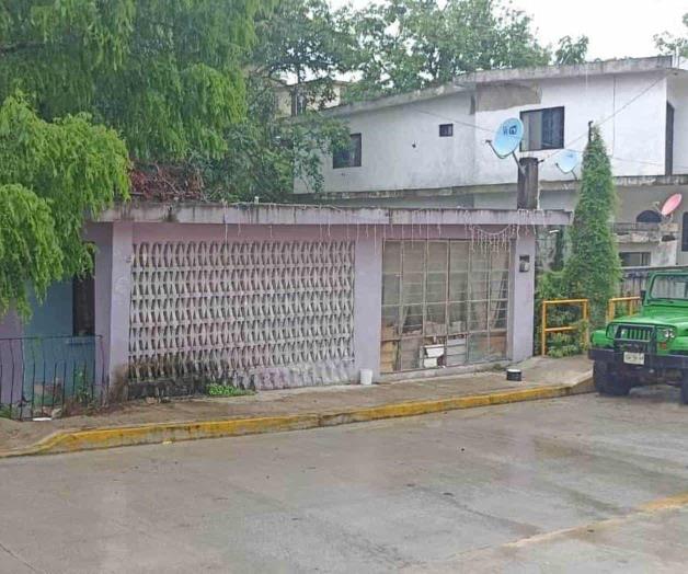 Perros matan a una abuelita Perros matan a una abuelita