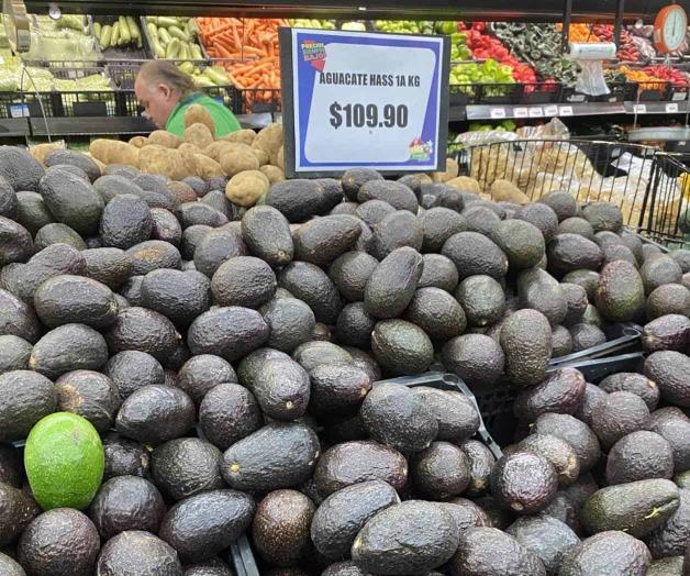 Retiran el aguacate de tacos Retiran el aguacate de tacos