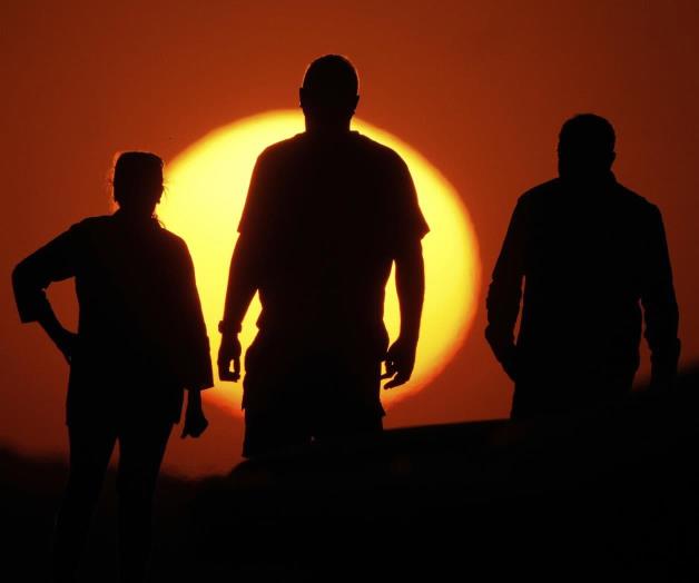 Eliminan informes clave sobre impacto en la web