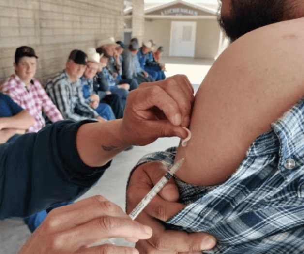 Casos de sarampión en México; ¿cuáles son los síntomas? Casos de sarampión en México; ¿cuáles son los síntomas?