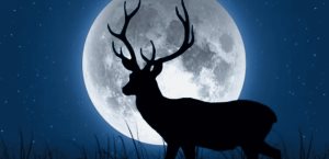 Luna de Ciervo: ¿por qué se le llama así al fenómeno astronómico?